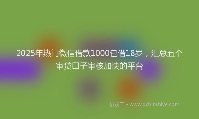 2025年热门微信借款1000包借18岁，汇总五个审贷口子审核加快的平台