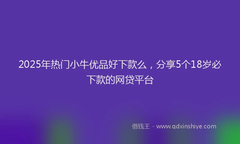 2025年热门小牛优品好下款么，分享5个18岁必下款的网贷平台
