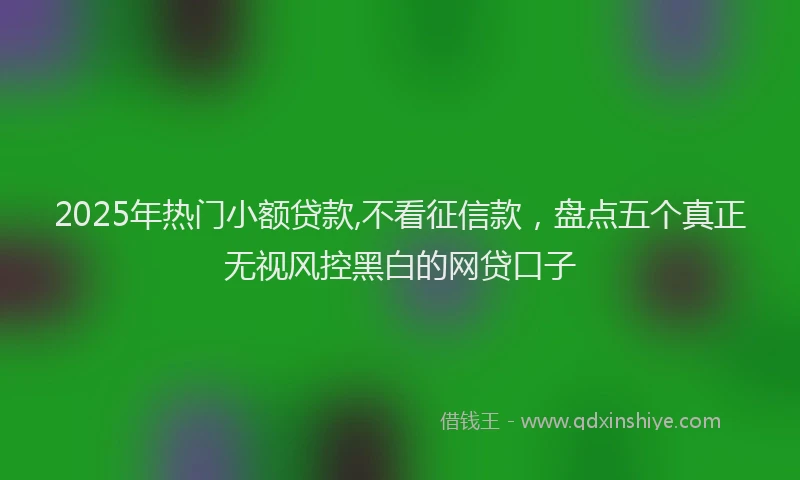 2025年热门小额贷款,不看征信款，盘点五个真正无视风控黑白的网贷口子