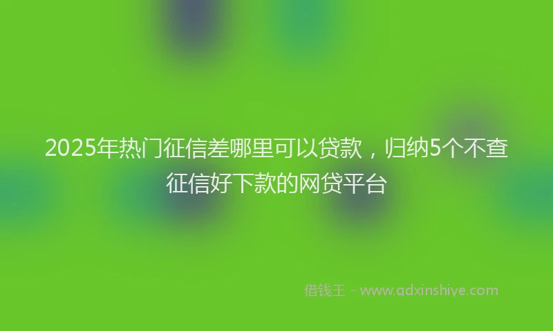 2025年热门征信差哪里可以贷款，归纳5个不查征信好下款的网贷平台