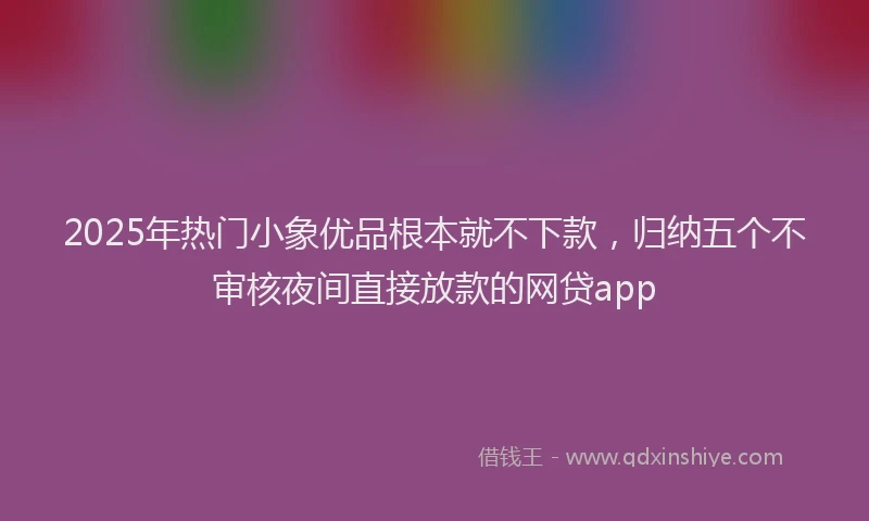 2025年热门小象优品根本就不下款，归纳五个不审核夜间直接放款的网贷app