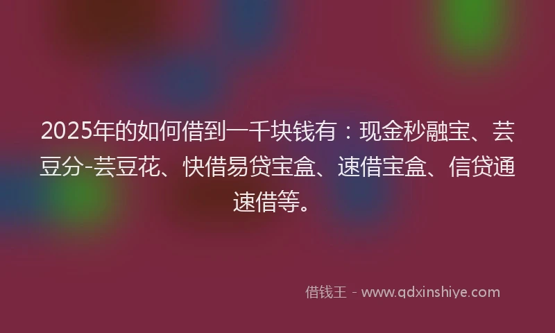 2025年的如何借到一千块钱有：现金秒融宝、芸豆分-芸豆花、快借易贷宝盒、速借宝盒、信贷通速借等。