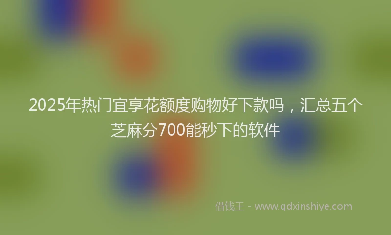 2025年热门宜享花额度购物好下款吗，汇总五个芝麻分700能秒下的软件