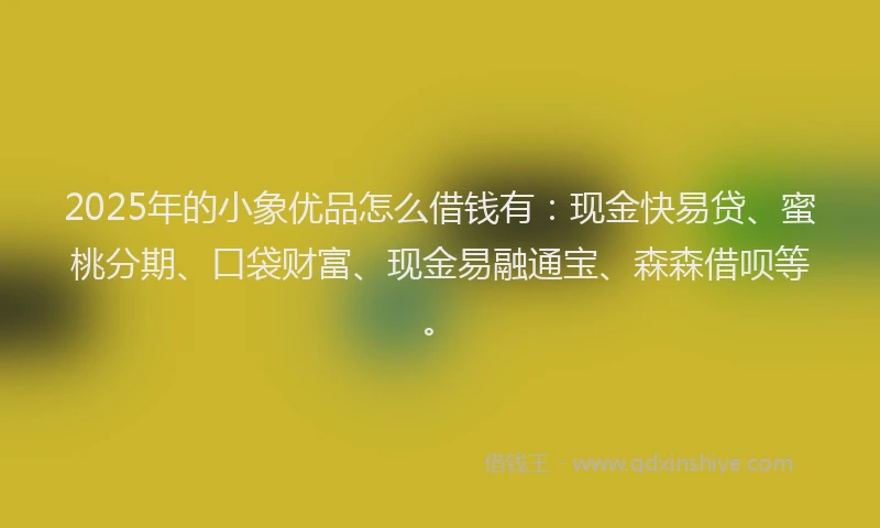 2025年的小象优品怎么借钱有：现金快易贷、蜜桃分期、口袋财富、现金易融通宝、森森借呗等。