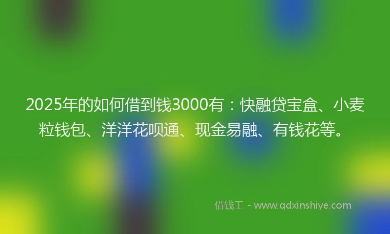 2025年的如何借到钱3000有：快融贷宝盒、小麦粒钱包、洋洋花呗通、现金易融、有钱花等。