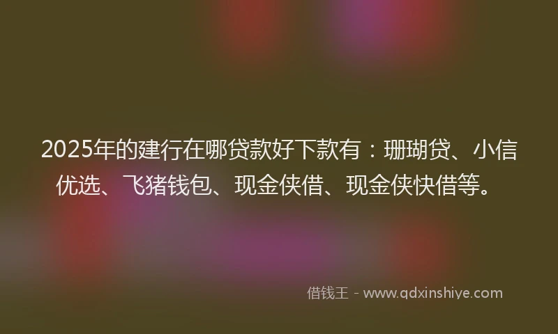 2025年的建行在哪贷款好下款有：珊瑚贷、小信优选、飞猪钱包、现金侠借、现金侠快借等。