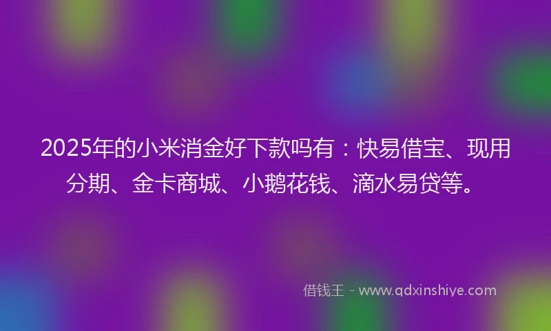 2025年的小米消金好下款吗有：快易借宝、现用分期、金卡商城、小鹅花钱、滴水易贷等。