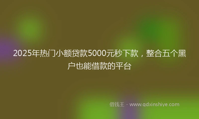 2025年热门小额贷款5000元秒下款，整合五个黑户也能借款的平台