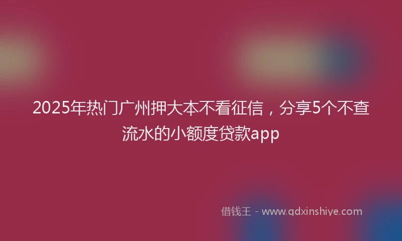 2025年热门广州押大本不看征信，分享5个不查流水的小额度贷款app