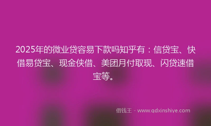 2025年的微业贷容易下款吗知乎有：信贷宝、快借易贷宝、现金侠借、美团月付取现、闪贷速借宝等。