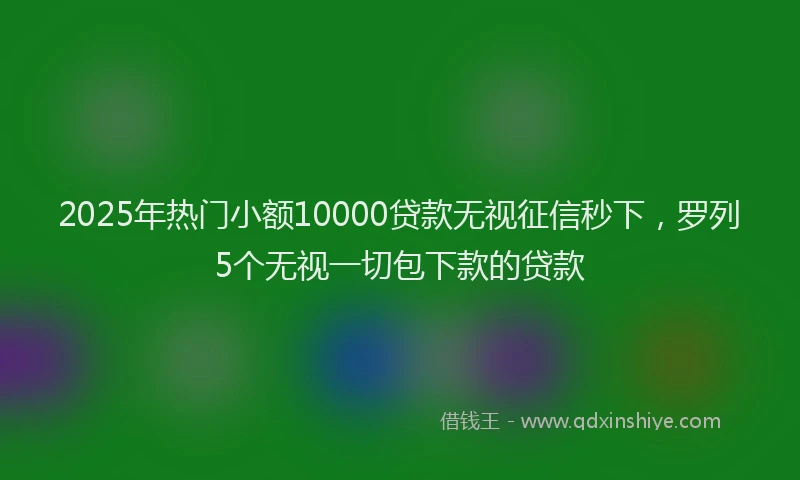 2025年热门小额10000贷款无视征信秒下，罗列5个无视一切包下款的贷款