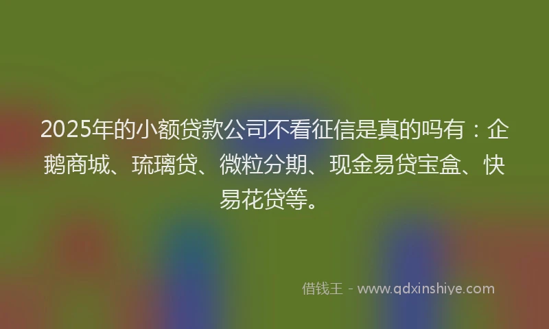 2025年的小额贷款公司不看征信是真的吗有：企鹅商城、琉璃贷、微粒分期、现金易贷宝盒、快易花贷等。