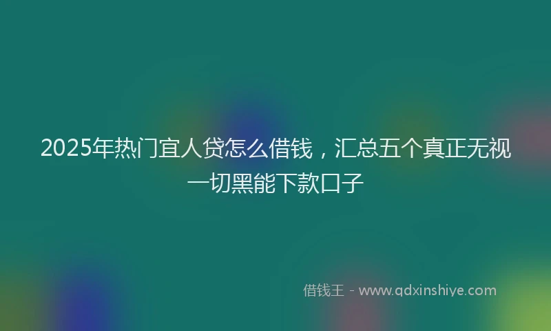 2025年热门宜人贷怎么借钱，汇总五个真正无视一切黑能下款口子