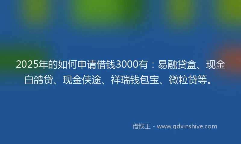 2025年的如何申请借钱3000有：易融贷盒、现金白鸽贷、现金侠途、祥瑞钱包宝、微粒贷等。