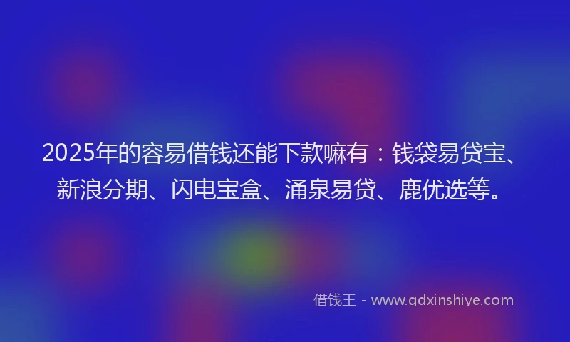 2025年的容易借钱还能下款嘛有：钱袋易贷宝、新浪分期、闪电宝盒、涌泉易贷、鹿优选等。