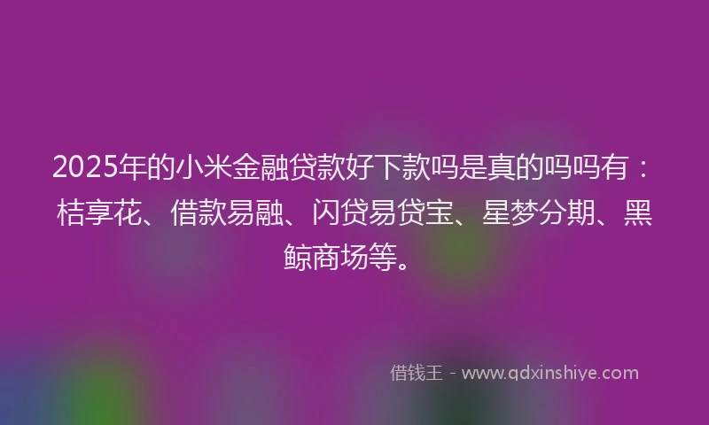 2025年的小米金融贷款好下款吗是真的吗吗有：桔享花、借款易融、闪贷易贷宝、星梦分期、黑鲸商场等。