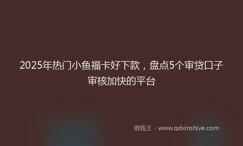 2025年热门小鱼福卡好下款，盘点5个审贷口子审核加快的平台