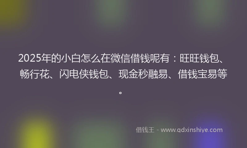 2025年的小白怎么在微信借钱呢有：旺旺钱包、畅行花、闪电侠钱包、现金秒融易、借钱宝易等。