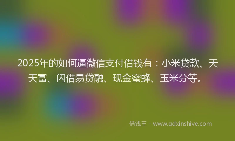 2025年的如何逼微信支付借钱有：小米贷款、天天富、闪借易贷融、现金蜜蜂、玉米分等。