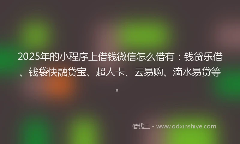 2025年的小程序上借钱微信怎么借有：钱贷乐借、钱袋快融贷宝、超人卡、云易购、滴水易贷等。