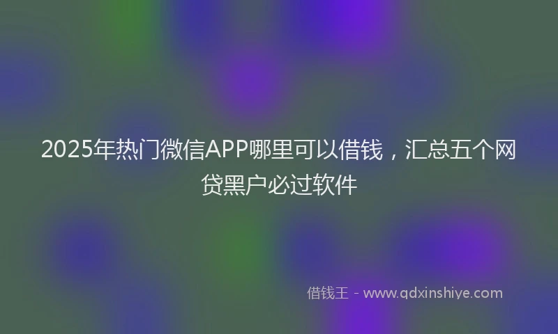 2025年热门微信APP哪里可以借钱，汇总五个网贷黑户必过软件