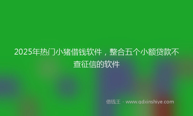 2025年热门小猪借钱软件，整合五个小额贷款不查征信的软件