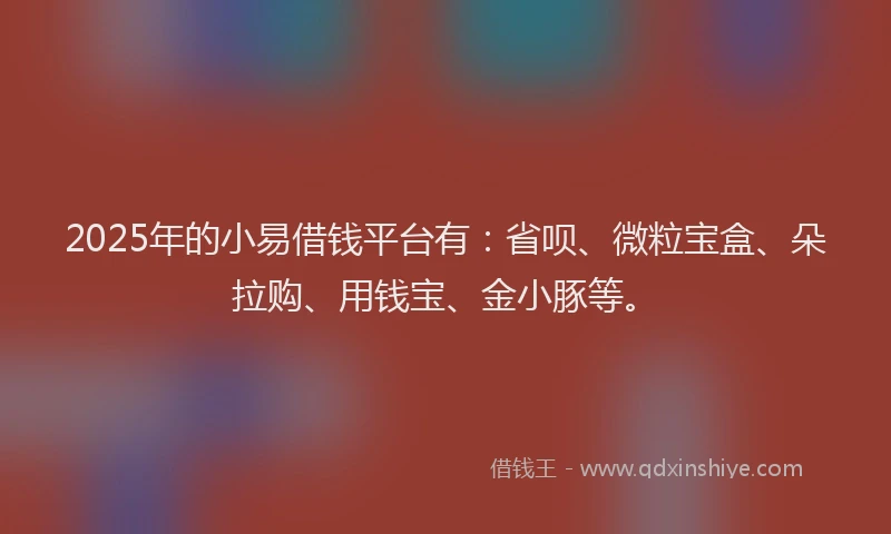 2025年的小易借钱平台有：省呗、微粒宝盒、朵拉购、用钱宝、金小豚等。