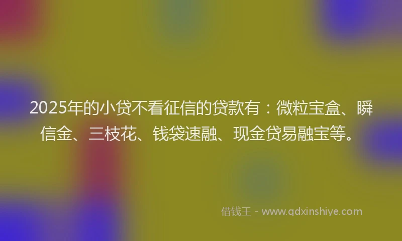 2025年的小贷不看征信的贷款有：微粒宝盒、瞬信金、三枝花、钱袋速融、现金贷易融宝等。