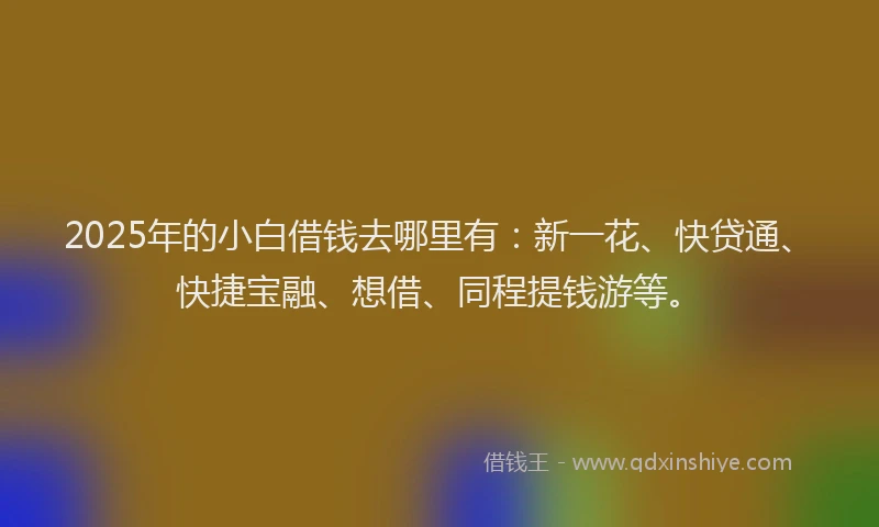 2025年的小白借钱去哪里有：新一花、快贷通、快捷宝融、想借、同程提钱游等。