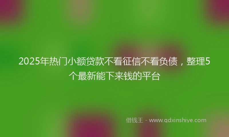 2025年热门小额贷款不看征信不看负债，整理5个最新能下来钱的平台