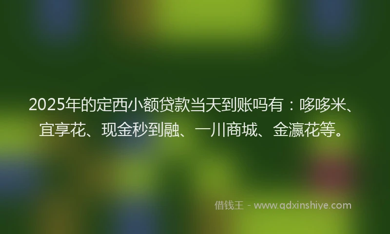 2025年的定西小额贷款当天到账吗有：哆哆米、宜享花、现金秒到融、一川商城、金瀛花等。