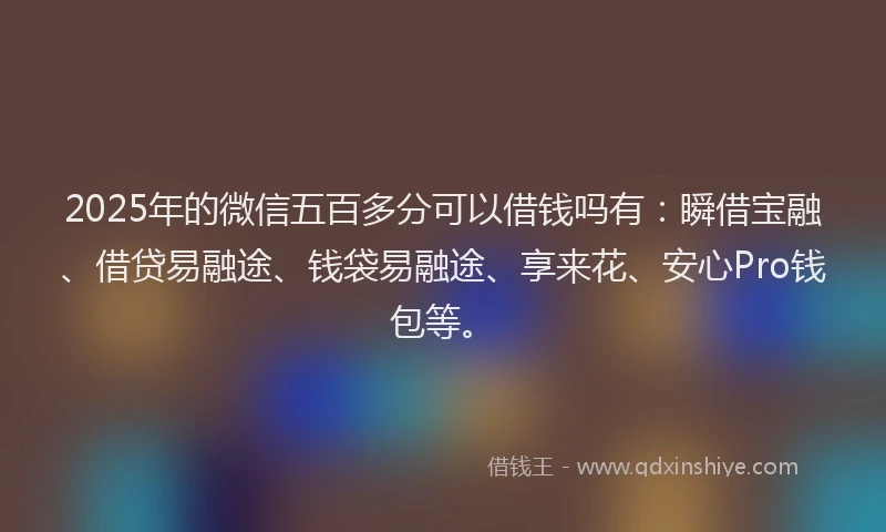 2025年的微信五百多分可以借钱吗有：瞬借宝融、借贷易融途、钱袋易融途、享来花、安心Pro钱包等。