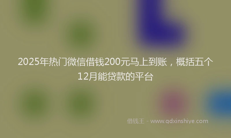 2025年热门微信借钱200元马上到账，概括五个12月能贷款的平台