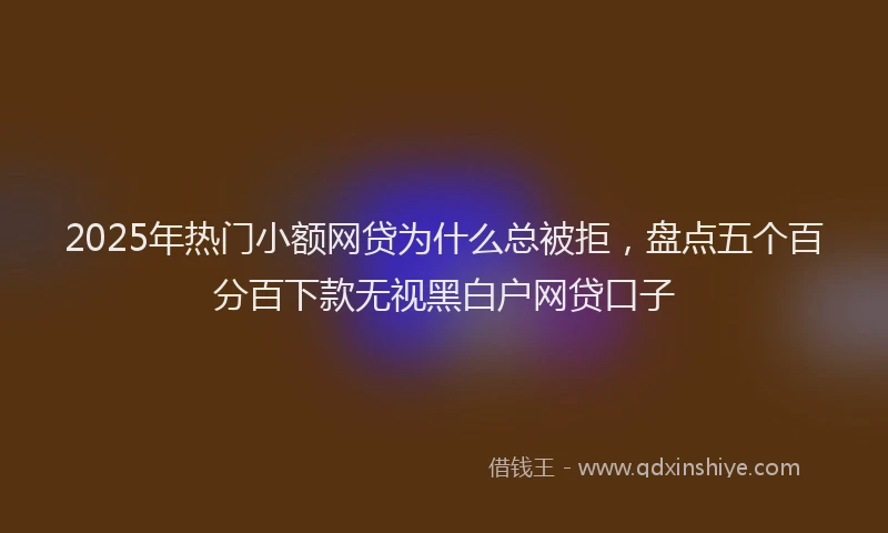 2025年热门小额网贷为什么总被拒，盘点五个百分百下款无视黑白户网贷口子