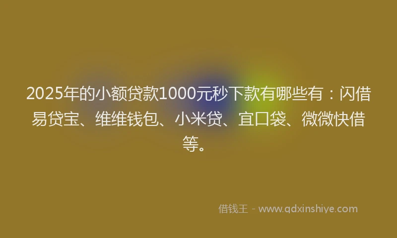 2025年的小额贷款1000元秒下款有哪些有：闪借易贷宝、维维钱包、小米贷、宜口袋、微微快借等。