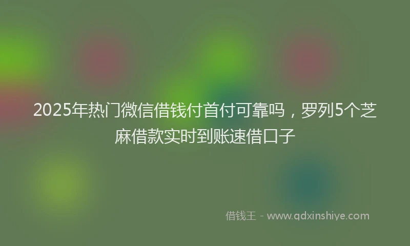 2025年热门微信借钱付首付可靠吗，罗列5个芝麻借款实时到账速借口子