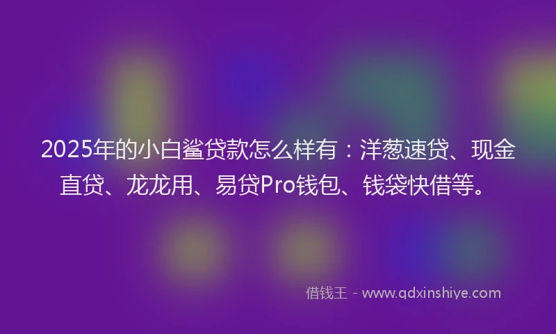 2025年的小白鲨贷款怎么样有：洋葱速贷、现金直贷、龙龙用、易贷Pro钱包、钱袋快借等。