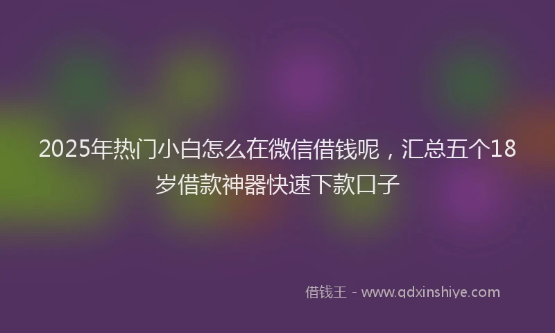 2025年热门小白怎么在微信借钱呢，汇总五个18岁借款神器快速下款口子