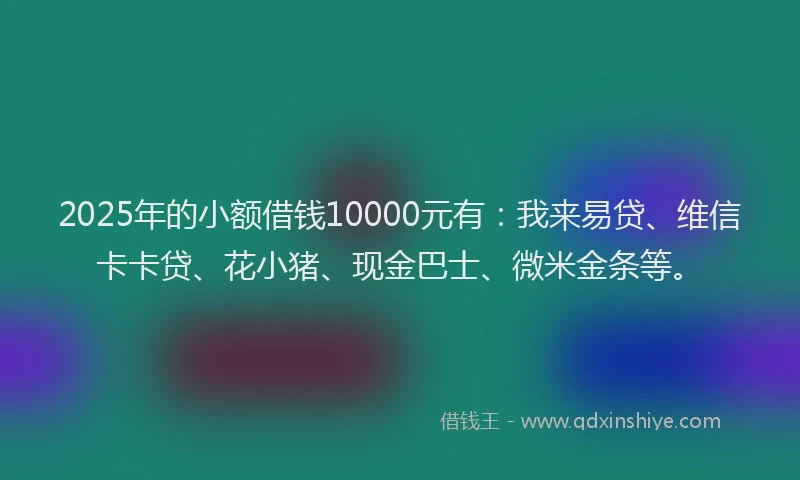2025年的小额借钱10000元有：我来易贷、维信卡卡贷、花小猪、现金巴士、微米金条等。