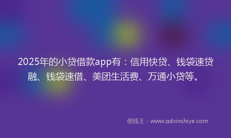 2025年的小贷借款app有：信用快贷、钱袋速贷融、钱袋速借、美团生活费、万通小贷等。