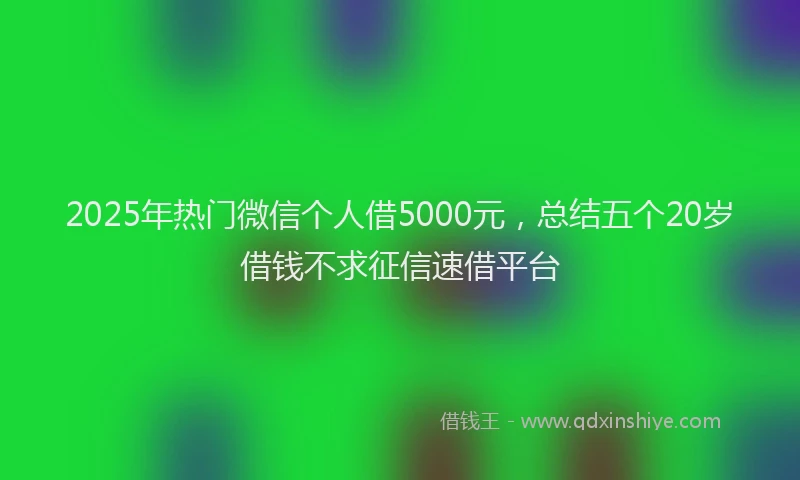 2025年热门微信个人借5000元，总结五个20岁借钱不求征信速借平台