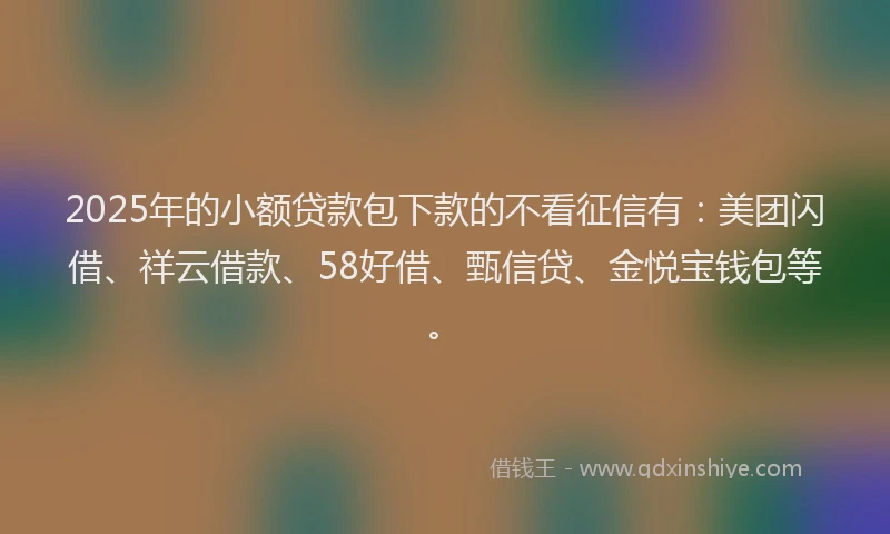 2025年的小额贷款包下款的不看征信有：美团闪借、祥云借款、58好借、甄信贷、金悦宝钱包等。