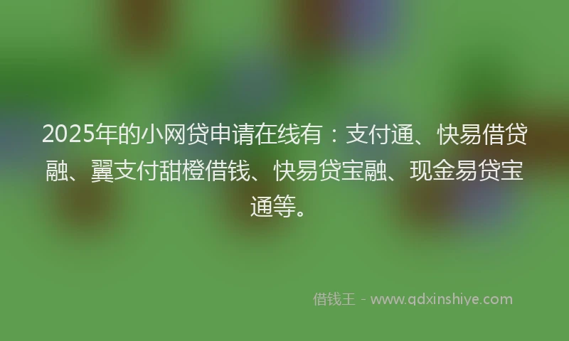 2025年的小网贷申请在线有：支付通、快易借贷融、翼支付甜橙借钱、快易贷宝融、现金易贷宝通等。