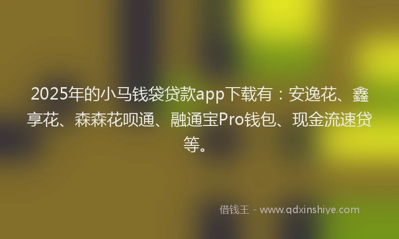 2025年的小马钱袋贷款app下载有：安逸花、鑫享花、森森花呗通、融通宝Pro钱包、现金流速贷等。