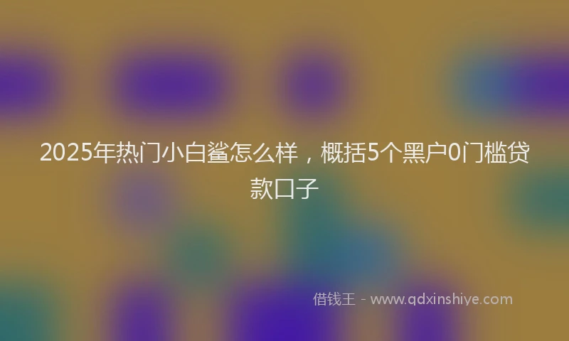 2025年热门小白鲨怎么样，概括5个黑户0门槛贷款口子