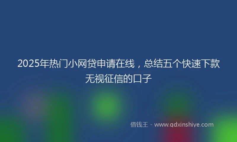 2025年热门小网贷申请在线，总结五个快速下款无视征信的口子