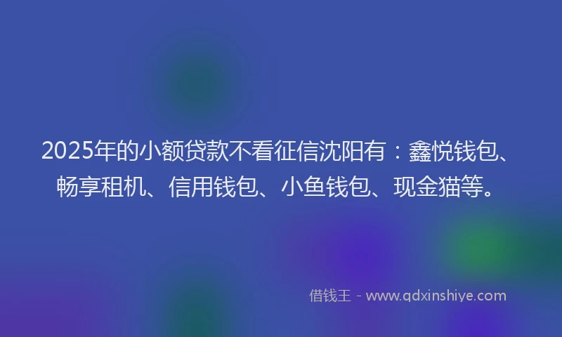 2025年的小额贷款不看征信沈阳有：鑫悦钱包、畅享租机、信用钱包、小鱼钱包、现金猫等。