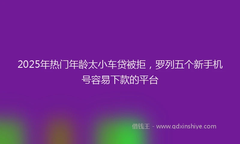 2025年热门年龄太小车贷被拒，罗列五个新手机号容易下款的平台