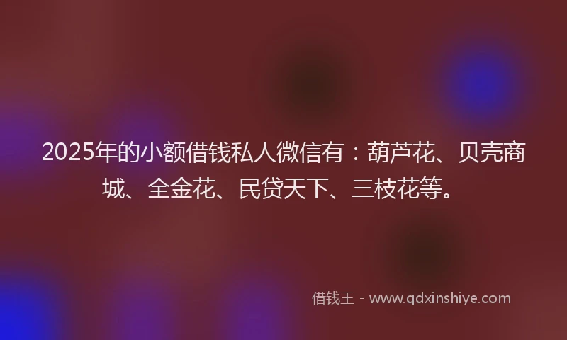 2025年的小额借钱私人微信有：葫芦花、贝壳商城、全金花、民贷天下、三枝花等。