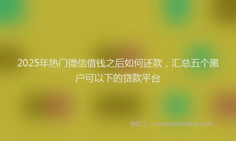 2025年热门微信借钱之后如何还款，汇总五个黑户可以下的贷款平台